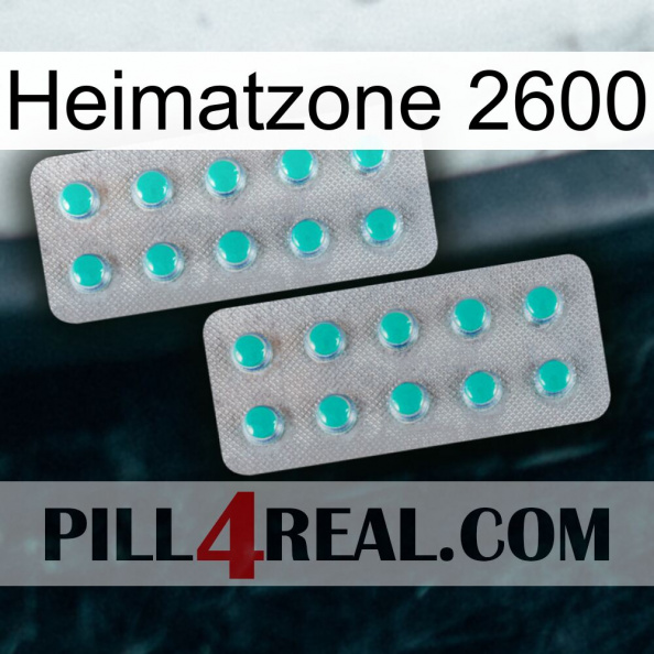 Home Zone 2600 29.jpg